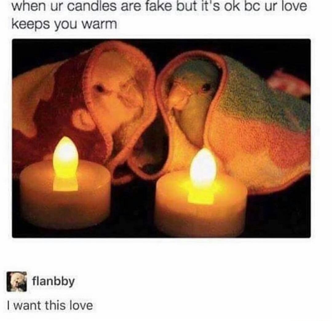 your candles are fake - when ur candles are fake but it's ok bc ur love keeps you warm flanbby I want this love