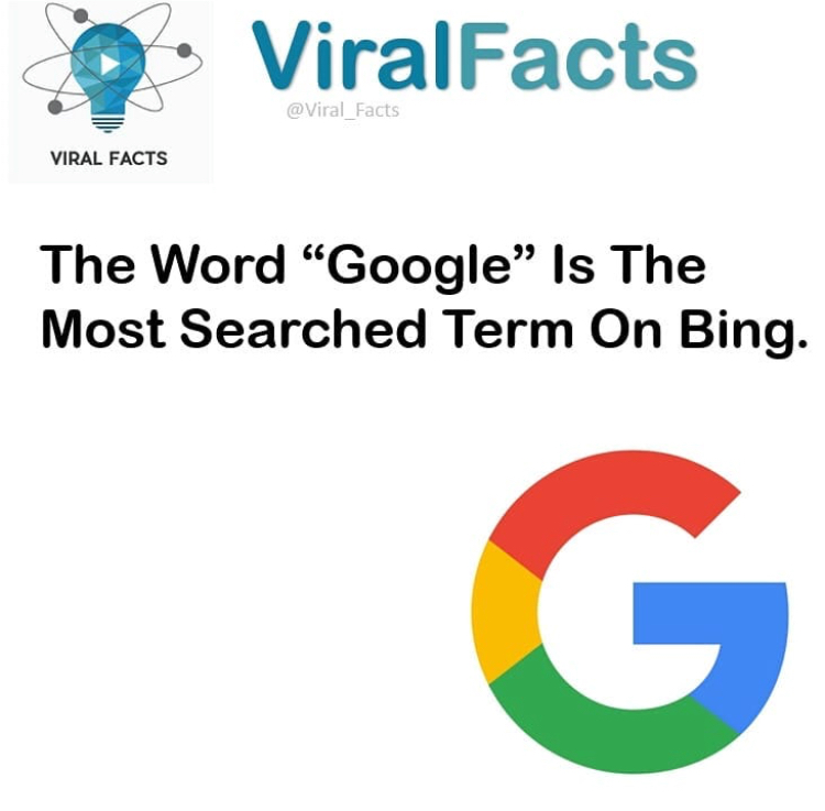 diagram - 9. ViralFacts Viral Facts The Word Google Is The Most Searched Term On Bing.