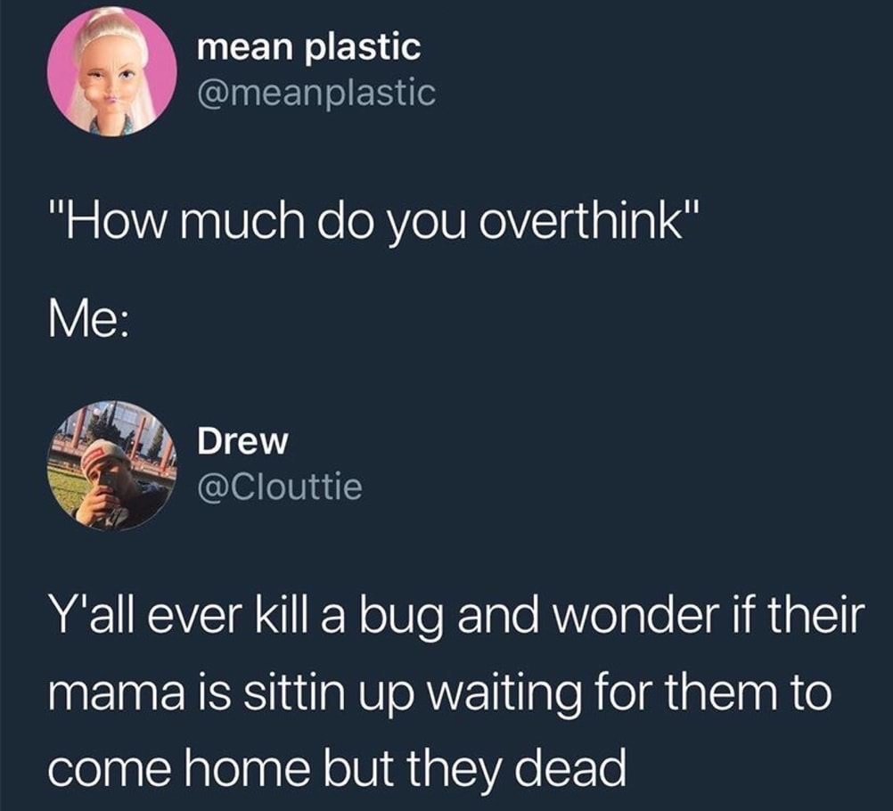 presentation - mean plastic "How much do you overthink" Me Drew Y'all ever kill a bug and wonder if their mama is sittin up waiting for them to come home but they dead