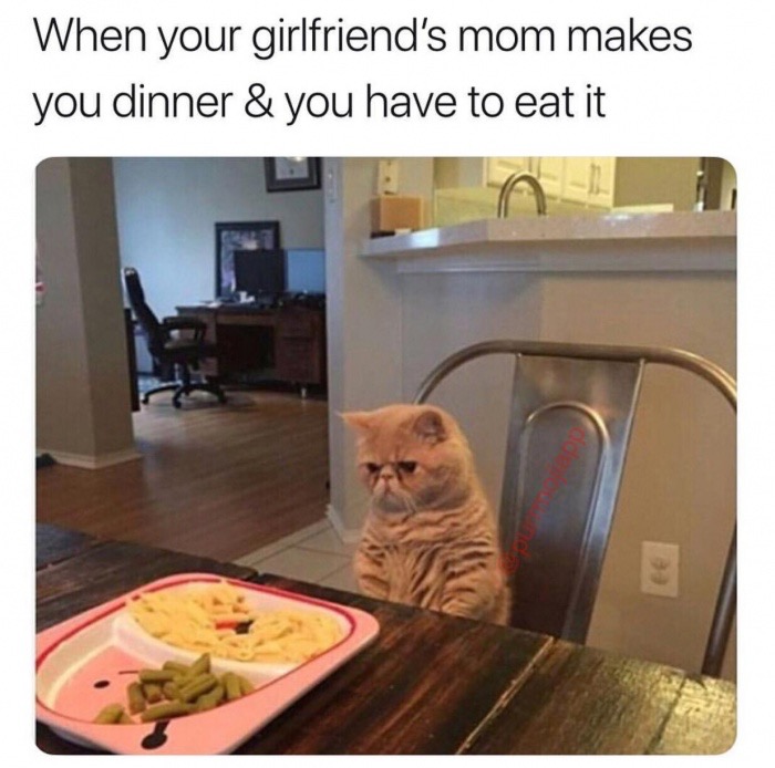 bad dinner meme - When your girlfriend's mom makes you dinner & you have to eat it