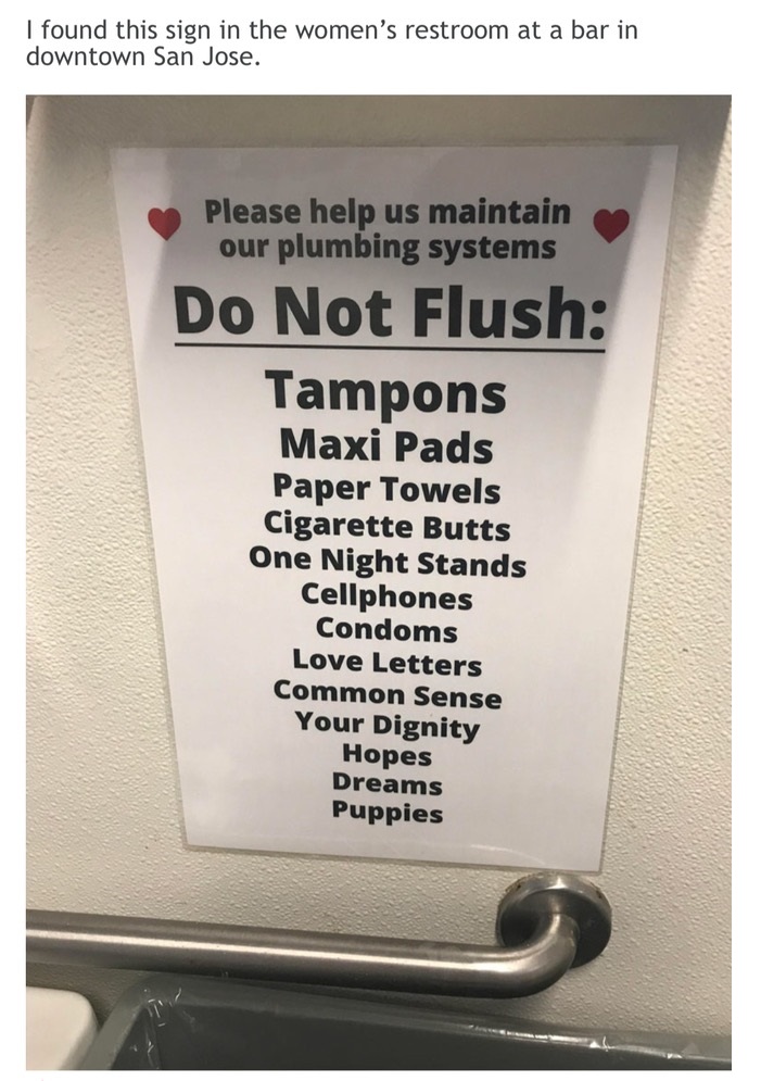 I found this sign in the women's restroom at a bar in downtown San Jose. Please help us maintain our plumbing systems Do Not Flush Tampons Maxi Pads Paper Towels Cigarette Butts One Night Stands Cellphones Condoms Love Letters Common Sense Your Dignity…
