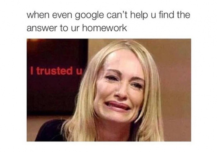 dank meme assignment is too difficult - when even google can't help u find the answer to ur homework I trusted u