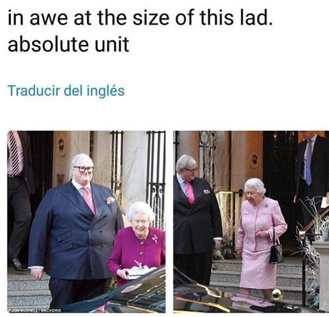 memes  - absolute unit meme - in awe at the size of this lad. absolute unit Traducir del ingls Jon Bushell Backgrid