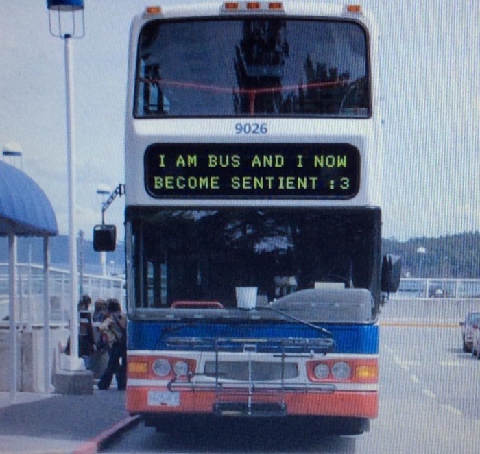 memes  - Tjunco - 9026 I Am Bus And I Now Become Sentient 3 41