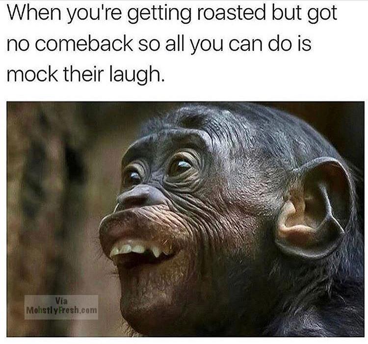 you getting roasted memes - When you're getting roasted but got no comeback so all you can do is mock their laugh. Via Mohstly Fresh.com