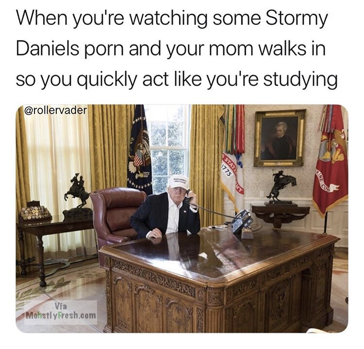 trump working during government shutdown - When you're watching some Stormy Daniels porn and your mom walks in so you quickly act you're studying Via Mohotly Preth.com