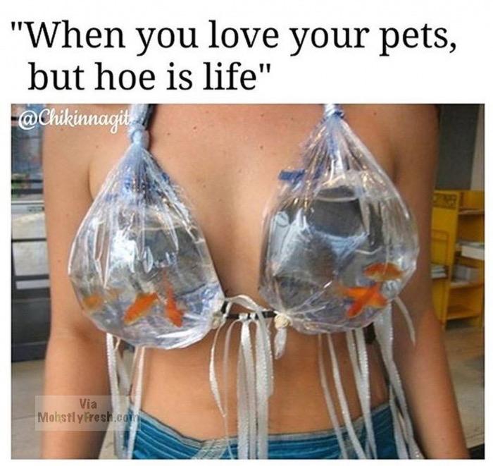 funny bikini - "When you love your pets, but hoe is life" Via Mohstly Fresh.com