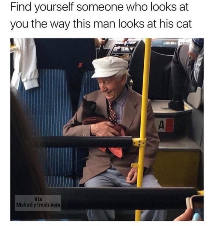 get you a man that looks at you like - Find yourself someone who looks at you the way this man looks at his cat Via MohstlyFresh.com