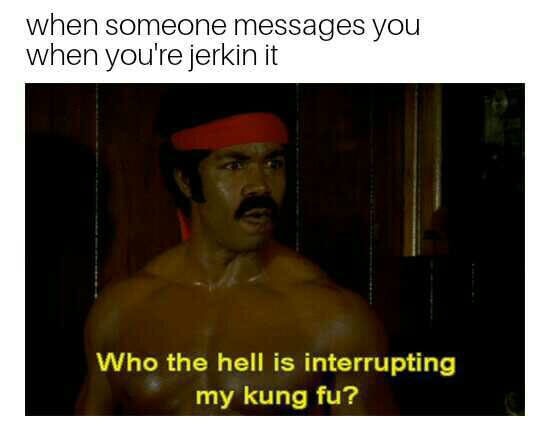 photo caption - when someone messages you when you're jerkin it Who the hell is interrupting my kung fu?