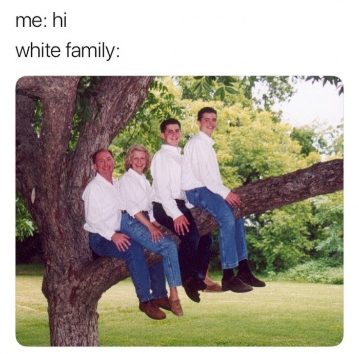awkward family photos tree branch - me hi white family