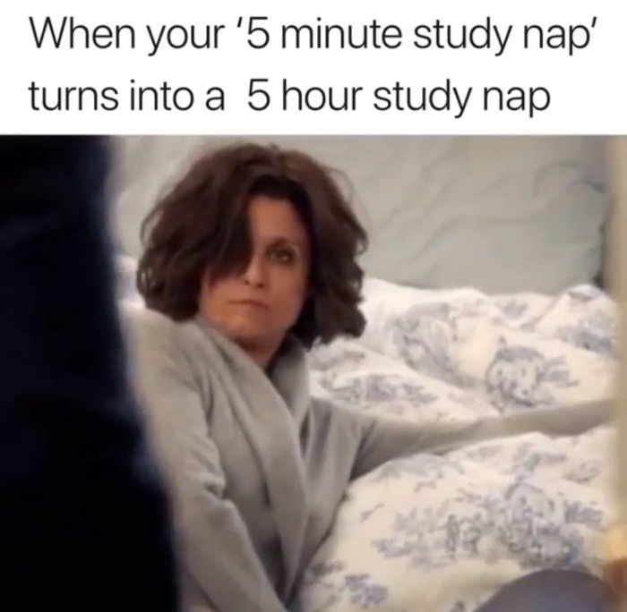 fresh and fun memes - When your '5 minute study nap' turns into a 5 hour study nap