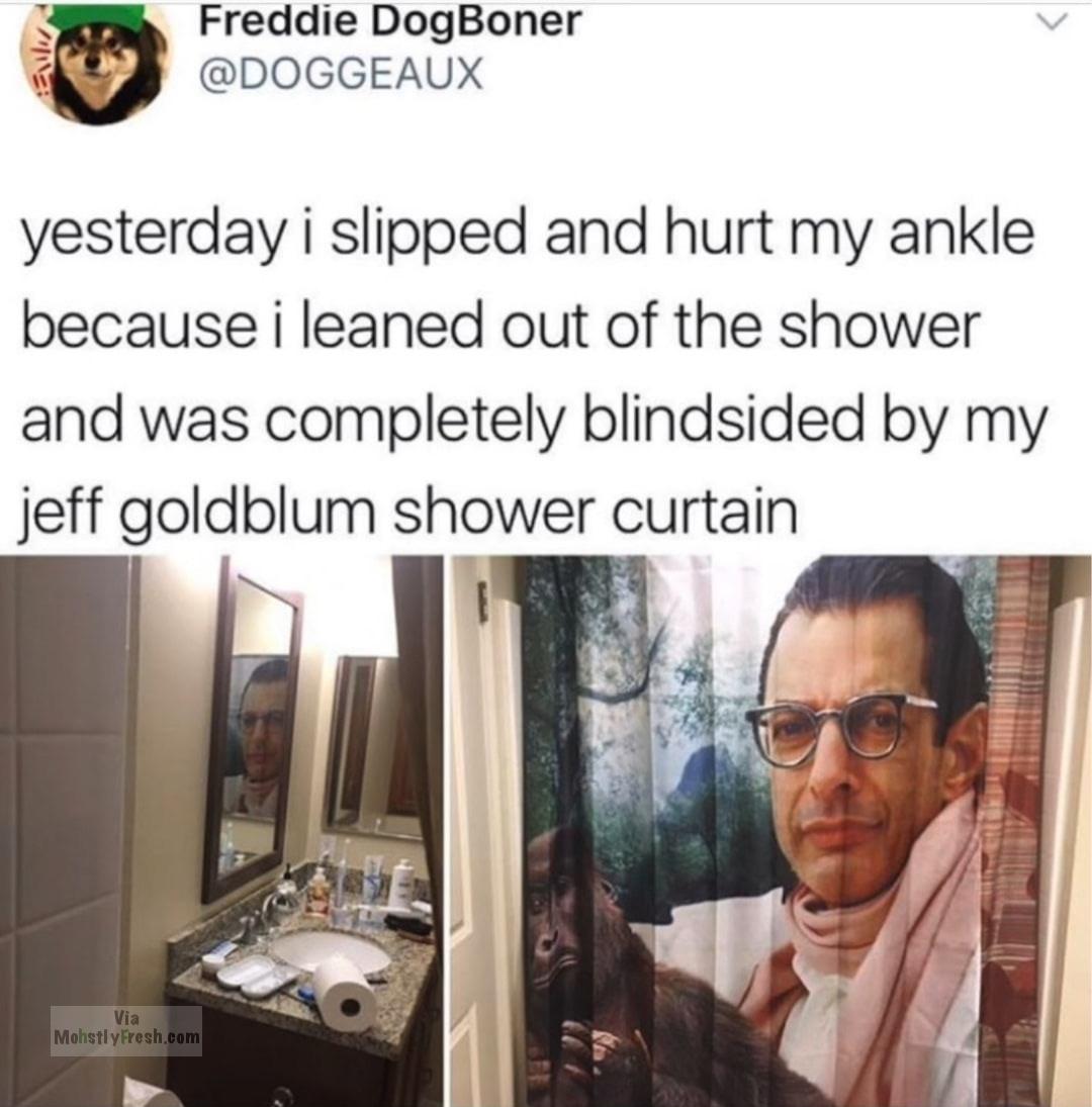 jeff goldblum meme shower - Freddie DogBoner yesterday i slipped and hurt my ankle because i leaned out of the shower and was completely blindsided by my jeff goldblum shower curtain Via Mohstly Fresh.com