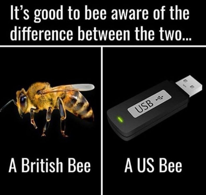 british bee and us bee - It's good to bee aware of the difference between the two.. Usb 1 A British Bee A Us Bee