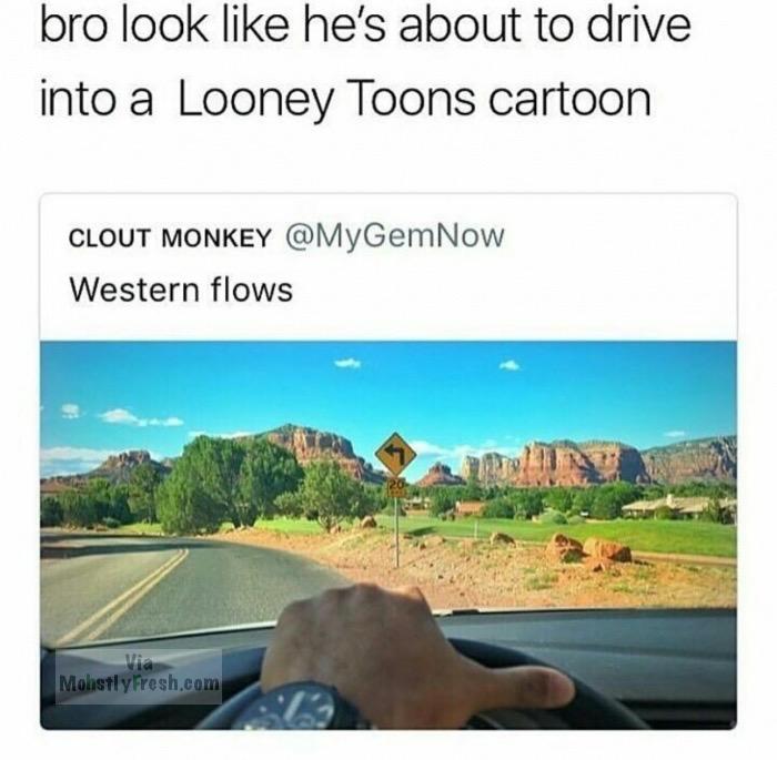Looney Tunes - bro look he's about to drive into a Looney Toons cartoon Clout Monkey Western flows Mohstly Fresh.com