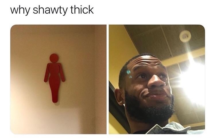 shawty thick meme - why shawty thick