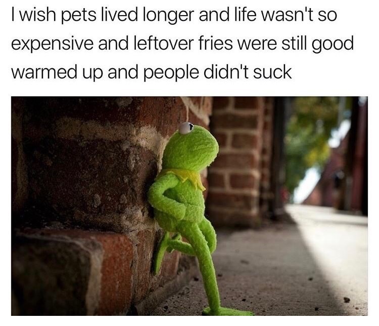 wish pets live longer meme - I wish pets lived longer and life wasn't so expensive and leftover fries were still good warmed up and people didn't suck