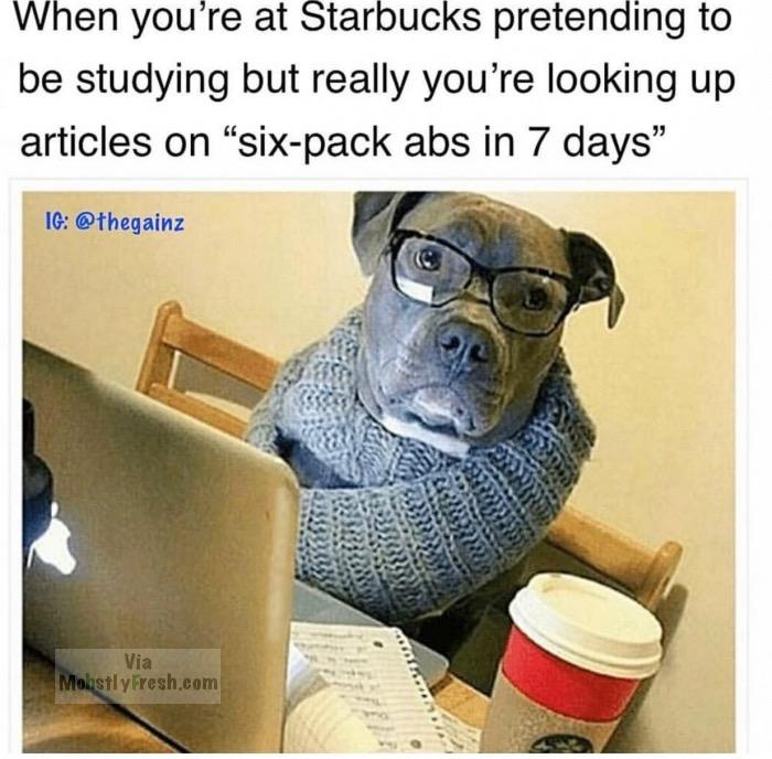 online shopping at work meme - When you're at Starbucks pretending to be studying but really you're looking up articles on "sixpack abs in 7 days Ig Via Mohstly Fresh.com