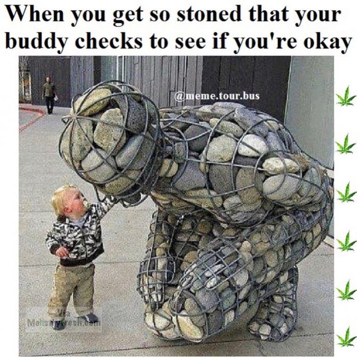 gabion river stone sculpture - When you get so stoned that your buddy checks to see if you're okay meme.tour.bus Melis nyores com