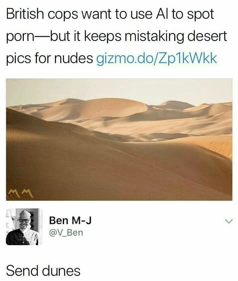 send dunes meme - British cops want to use Al to spot pornbut it keeps mistaking desert pics for nudes gizmo.doZp1kWkk Ben MJ Send dunes