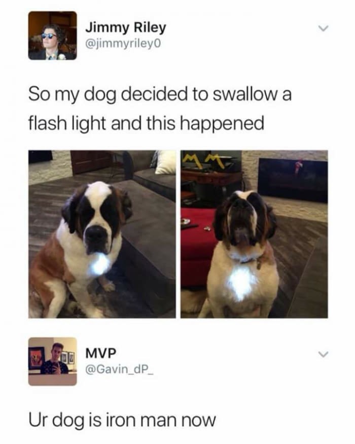 iron man dog meme - Jimmy Riley So my dog decided to swallow a flash light and this happened Le 126 Mvp Mvp Ur dog is iron man now