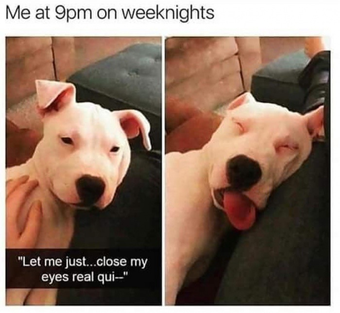 me at 9pm meme - Me at 9pm on weeknights "Let me just...close my eyes real qui"