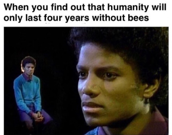 hits blunt - When you find out that humanity will only last four years without bees