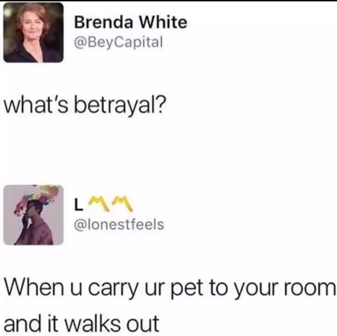 document - Brenda White Capital what's betrayal? When u carry ur pet to your room and it walks out