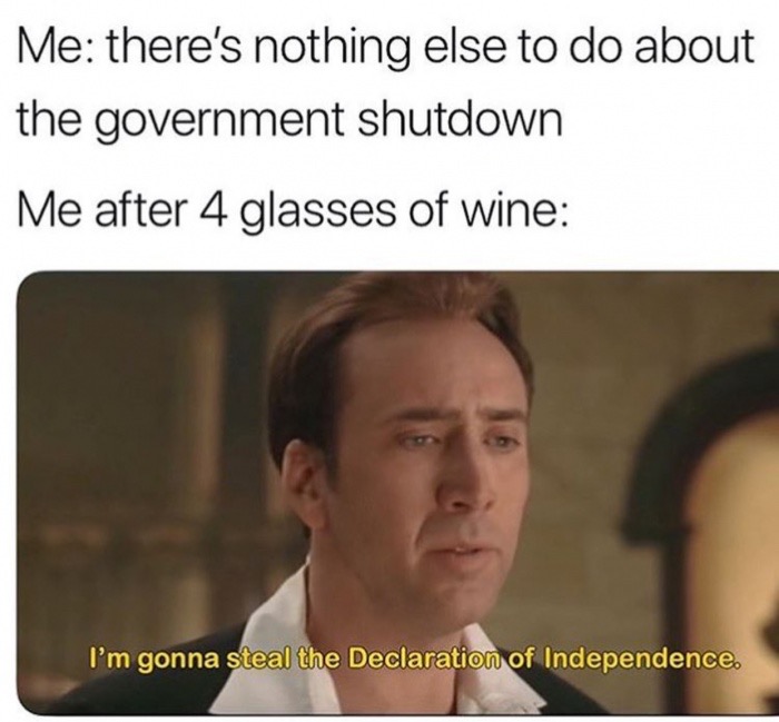 day after memes - Me there's nothing else to do about the government shutdown Me after 4 glasses of wine I'm gonna steal the Declaration of Independence.