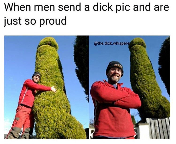 When men send a dick pic and are just so proud .dick.whispere.
