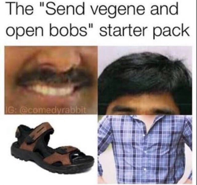 send bobs and vegana - The "Send vegene and open bobs" starter pack G