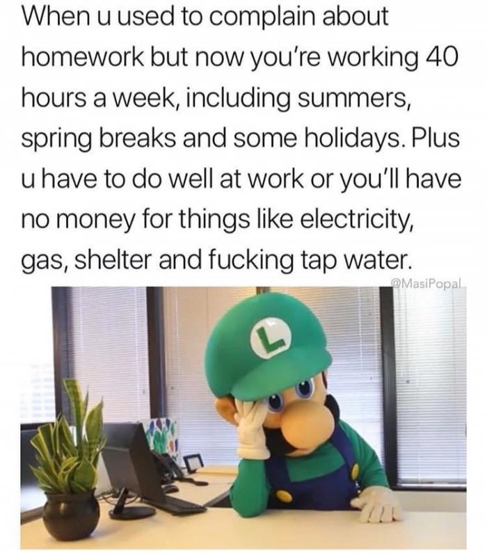 luigi mario is missing - When u used to complain about homework but now you're working 40 hours a week, including summers, spring breaks and some holidays. Plus u have to do well at work or you'll have no money for things electricity, gas, shelter and fuc