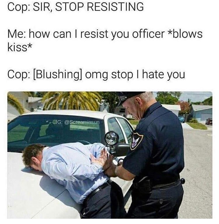 you are arrested - Cop Sir, Stop Resisting Me how can I resist you officer blows kiss Cop Blushing omg stop I hate you Cig