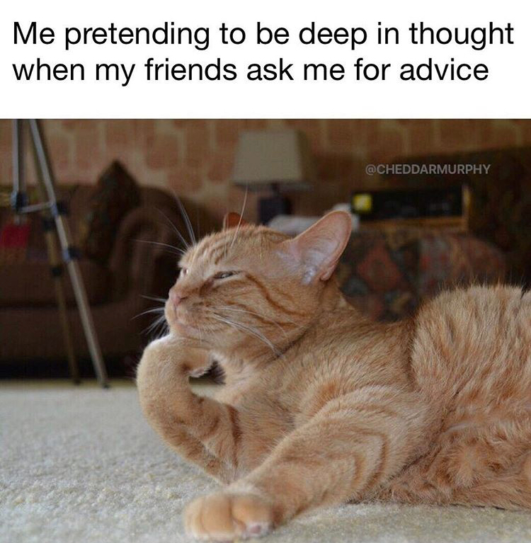 vomit funny - Me pretending to be deep in thought when my friends ask me for advice