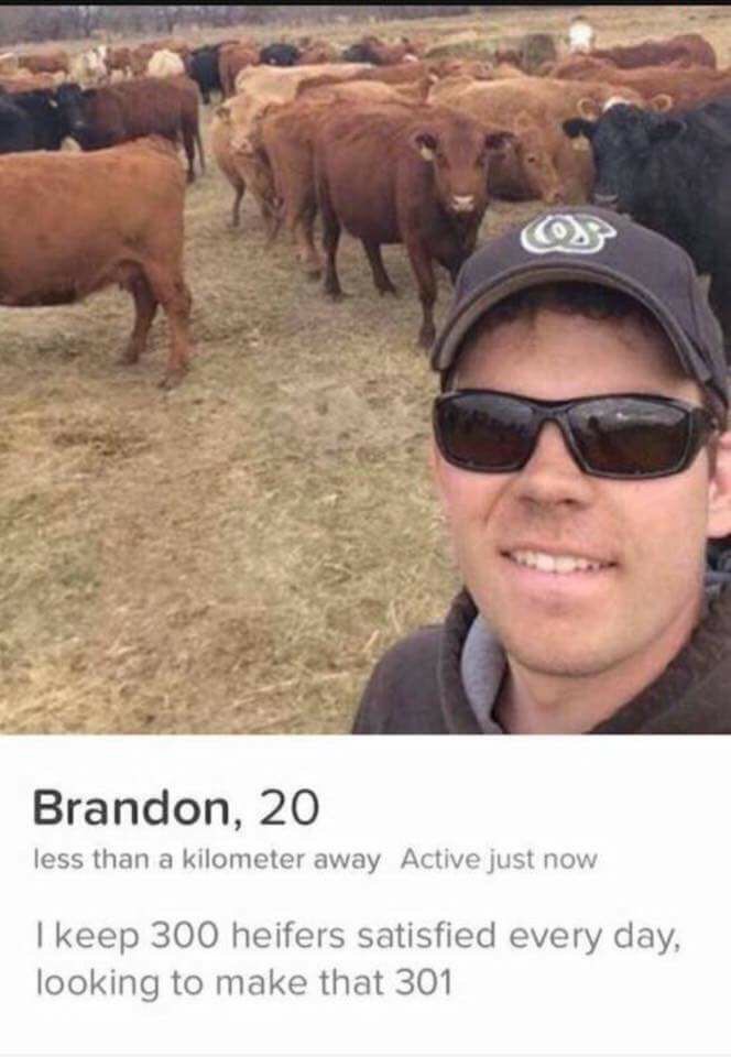funny tinder profiles - Brandon, 20 less than a kilometer away Active just now I keep 300 heifers satisfied every day, looking to make that 301