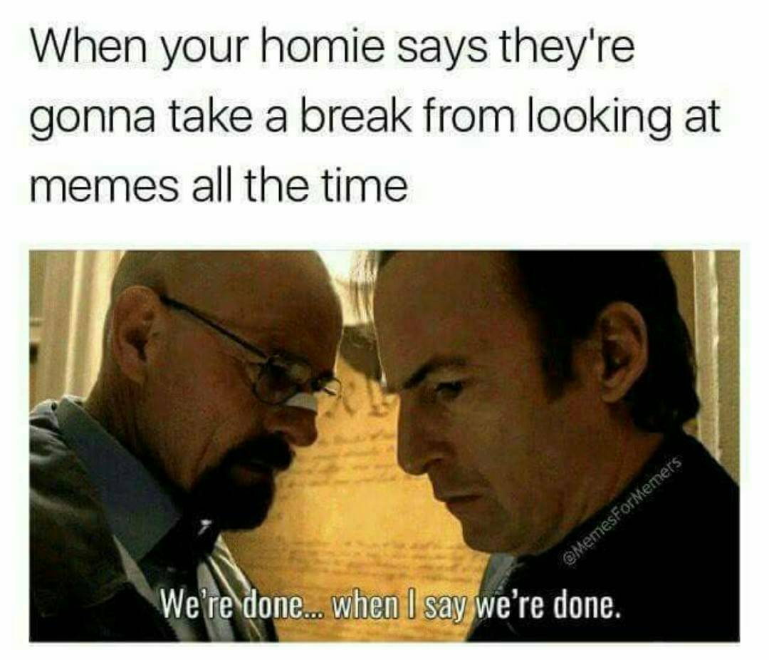 breaking bad were done when i say - When your homie says they're gonna take a break from looking at memes all the time We're done... when I say we're done.