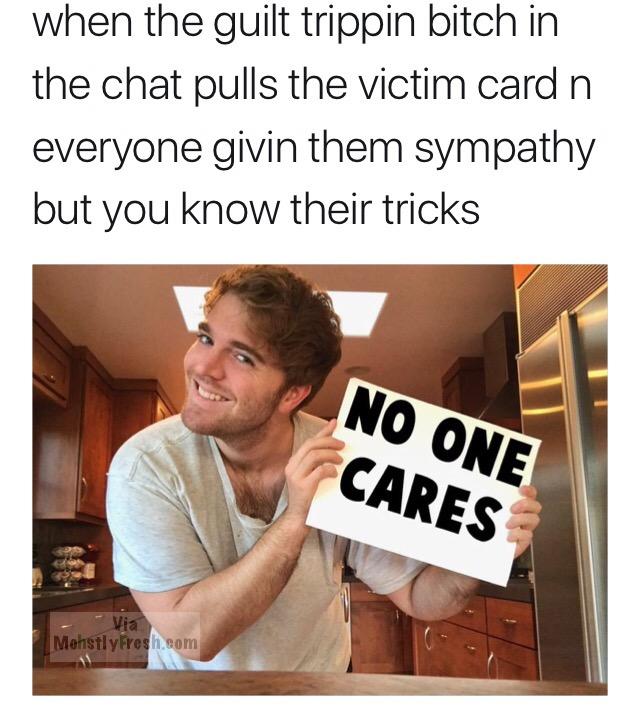 memes - memes shane dawson reaction - when the guilt trippin bitch in the chat pulls the victim card n everyone givin them sympathy but you know their tricks No One Cares MehsflyFresh.com