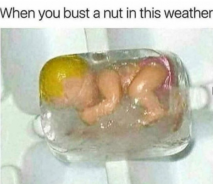 memes - you bust a nut in this weather - When you bust a nut in this weather