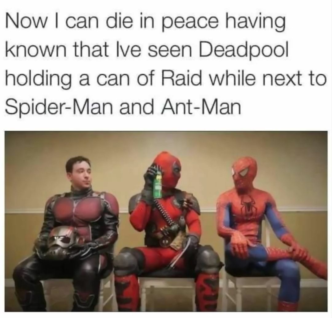 funny meme - deadpool spiderman ant man - Now I can die in peace having known that Ive seen Deadpool holding a can of Raid while next to SpiderMan and AntMan