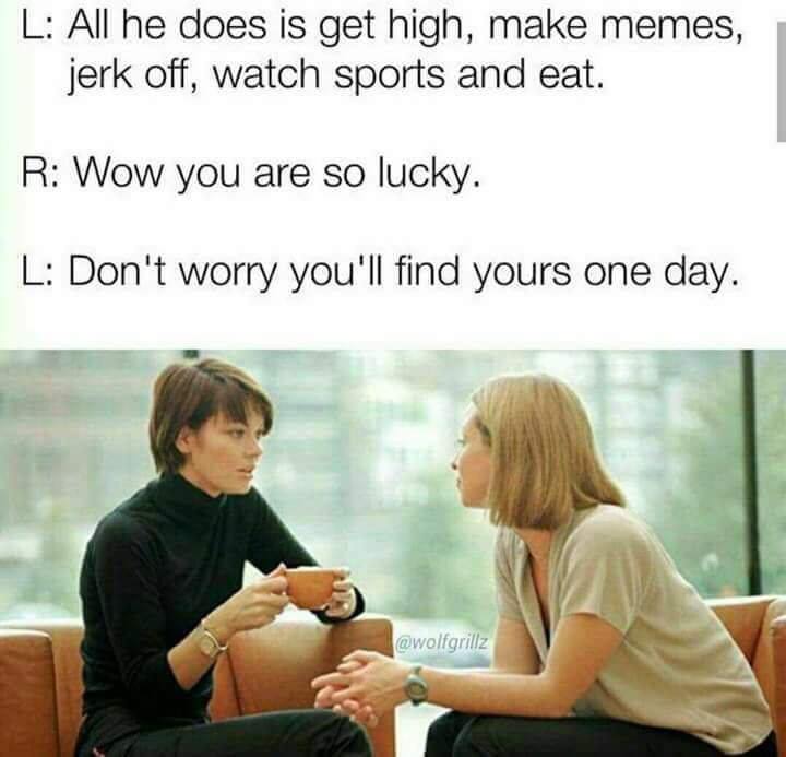 funny meme - savage memes - L All he does is get high, make memes, jerk off, watch sports and eat. R Wow you are so lucky. L Don't worry you'll find yours one day.