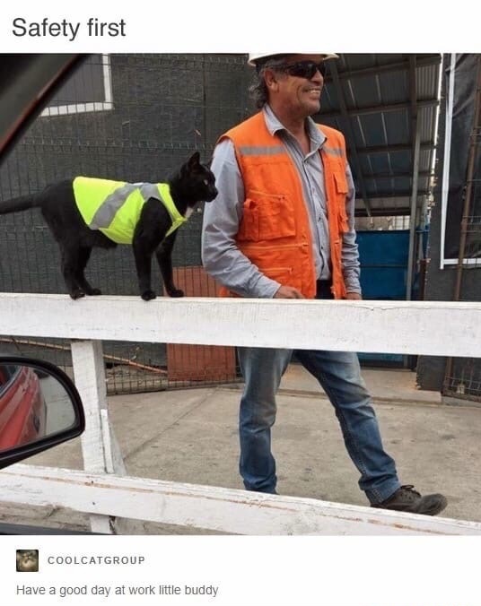 funny meme - construction worker cat - Safety first Ways Coolcatgroup Have a good day at work little buddy