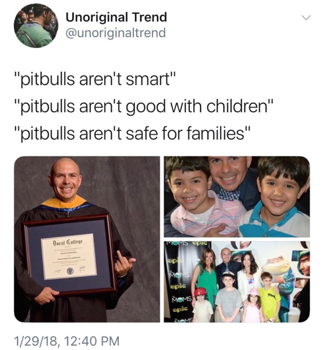 he's good with kids - Unoriginal Trend "pitbulls aren't smart" "pitbulls aren't good with children" "pitbulls aren't safe for families" Daral Collec Mums epic ep Moms epic Moms epic Sms 12918,