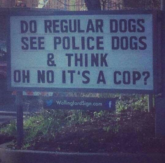 street sign - Do Regular Dogs See Police Dogs & Think Oh No It'S A Cop? WallingfordSign.com f