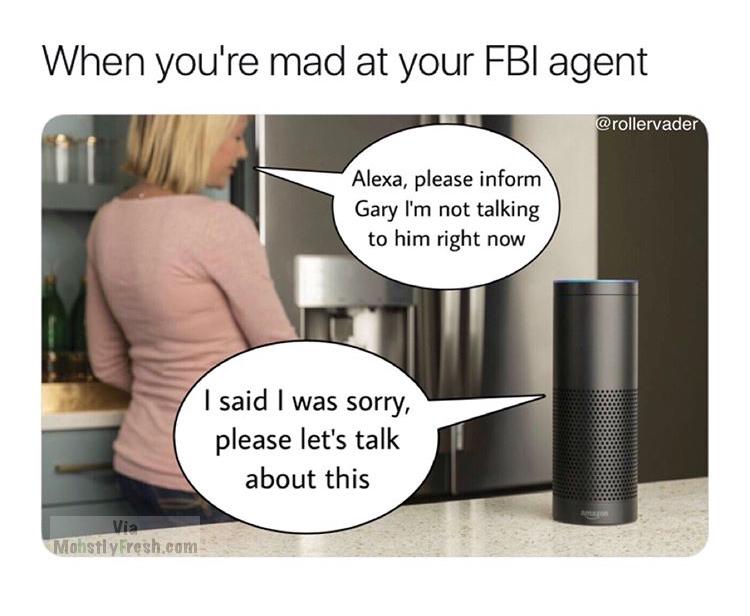 When you're mad at your Fbi agent Alexa, please inform Gary I'm not talking to him right now I said I was sorry, please let's talk about this Via Mohstly Fresh.com