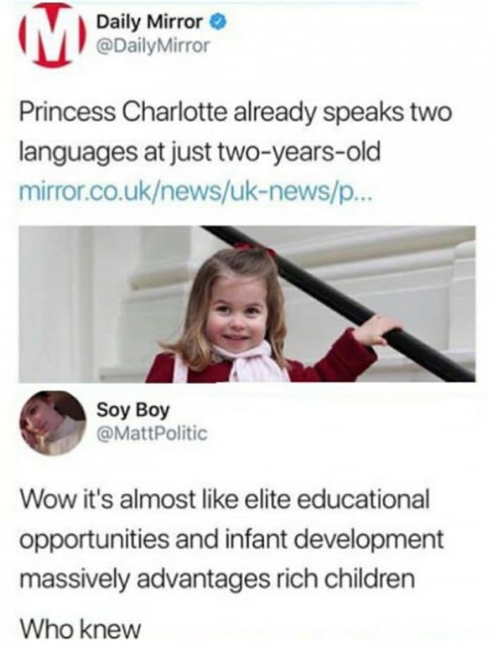 advantages of being colorblind - Daily Mirror Mirror Princess Charlotte already speaks two languages at just twoyearsold mirror.co.uknewsuknewsp... Soy Boy Wow it's almost elite educational opportunities and infant development massively advantages rich ch
