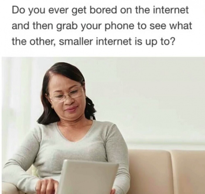 smaller internet meme - Do you ever get bored on the internet and then grab your phone to see what the other, smaller internet is up to?