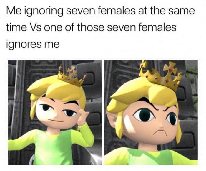 legend of zelda breath of the wild memes - Me ignoring seven females at the same time Vs one of those seven females ignores me