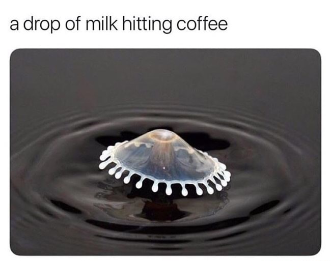 drop of milk in coffee - a drop of milk hitting coffee