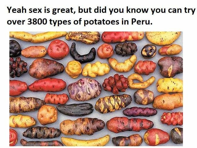 peruvian potatoes - Yeah sex is great, but did you know you can try over 3800 types of potatoes in Peru.