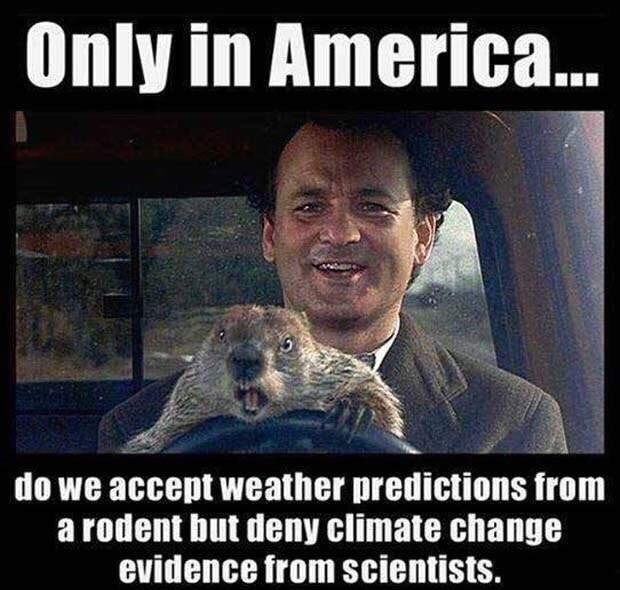 groundhog day meme only in america - Only in America... do we accept weather predictions from a rodent but deny climate change evidence from scientists.
