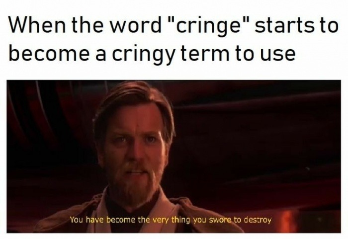 you have allowed this dark lord - When the word "cringe" starts to become a cringy term to use You have become the very thing you swore to destroy